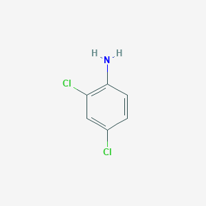 molecular formula C6H5Cl2N B164938 2,4-二氯苯胺 CAS No. 554-00-7