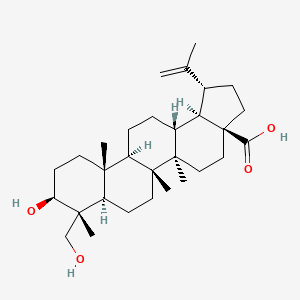 molecular formula C30H48O4 B1649419 风毛皂苷元 CAS No. 85999-40-2