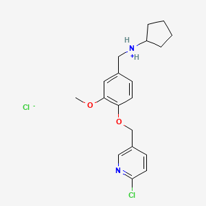 molecular formula C19H24Cl2N2O2 B1649807 [4-[(6-Chloropyridin-3-yl)methoxy]-3-methoxyphenyl]methyl-cyclopentylazanium;chloride CAS No. 1049773-09-2
