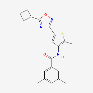 molecular formula C20H21N3O2S B1650687 N-[5-(5-cyclobutyl-1,2,4-oxadiazol-3-yl)-2-methyl-3-thienyl]-3,5-dimethylbenzamide CAS No. 1189886-70-1