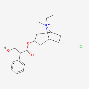 molecular formula C19H28ClNO3 B1651053 (8-Ethyl-8-methyl-8-azoniabicyclo[3.2.1]octan-3-yl) 3-hydroxy-2-phenylpropanoate;chloride CAS No. 1219404-89-3