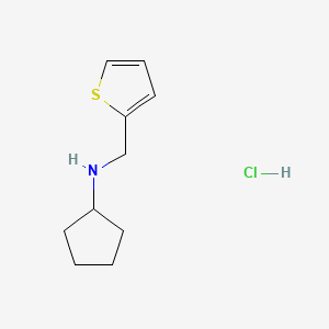 molecular formula C10H16ClNS B1651226 N-(thiophen-2-ylmethyl)cyclopentanamine hydrochloride CAS No. 1245568-74-4