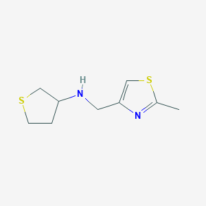 molecular formula C9H14N2S2 B1651241 N-[(2-methyl-1,3-thiazol-4-yl)methyl]thiolan-3-amine CAS No. 1248686-51-2