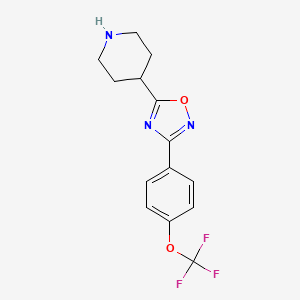 molecular formula C14H14F3N3O2 B1651367 5-Piperidin-4-yl-3-[4-(trifluoromethoxy)phenyl]-1,2,4-oxadiazole CAS No. 1260762-35-3