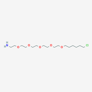 molecular formula C16H34ClNO5 B1651412 NH2-PEG5-C6-Cl CAS No. 1261238-22-5
