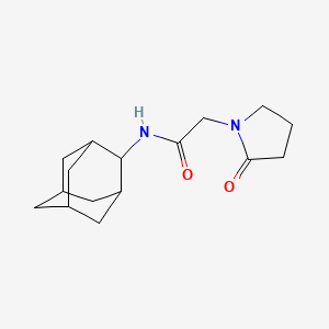 molecular formula C16H24N2O2 B1651530 1-Pyrrolidineacetamide, 2-oxo-N-tricyclo(3.3.1.1(sup 3,7))dec-2-yl- CAS No. 127040-58-8