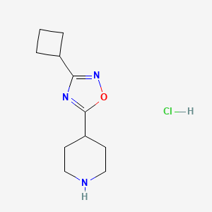 molecular formula C11H18ClN3O B1651837 4-(3-Cyclobutyl-1,2,4-oxadiazol-5-yl)piperidine hydrochloride CAS No. 1351499-17-6