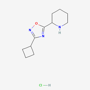 molecular formula C11H18ClN3O B1652104 2-(3-Cyclobutyl-1,2,4-oxadiazol-5-yl)piperidine hydrochloride CAS No. 1385696-79-6
