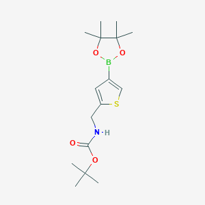 molecular formula C16H26BNO4S B1652279 tert-Butyl ((4-(4,4,5,5-tetramethyl-1,3,2-dioxaborolan-2-yl)thiophen-2-yl)methyl)carbamate CAS No. 1421780-46-2