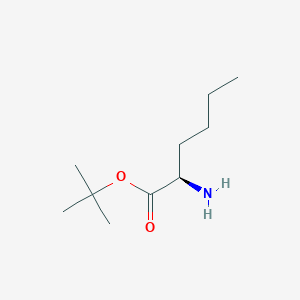 D-Norleucine tert-butyl ester