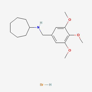 molecular formula C17H28BrNO3 B1652807 N-(3,4,5-trimethoxybenzyl)cycloheptanamine hydrobromide CAS No. 1609401-17-3
