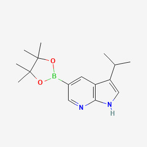 molecular formula C16H23BN2O2 B1652876 3-isopropyl-5-(4,4,5,5-tetramethyl-1,3,2-dioxaborolan-2-yl)-1H-pyrrolo[2,3-b]pyridine CAS No. 1620574-98-2