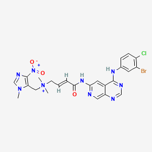 molecular formula C24H24BrClN9O3+ B1652920 Tarloxotinib CAS No. 1636938-13-0