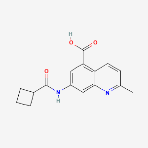 molecular formula C16H16N2O3 B1653022 7-[(Cyclobutylcarbonyl)amino]-2-methyl-5-quinolinecarboxylic acid CAS No. 1706455-78-8