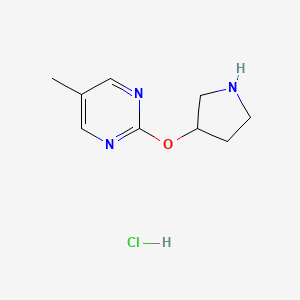 molecular formula C9H14ClN3O B1653029 5-甲基-2-(吡咯啉-3-氧基)嘧啶盐酸盐 CAS No. 1707358-54-0