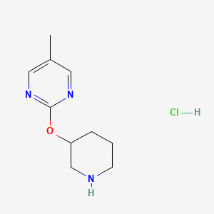 molecular formula C10H16ClN3O B1653035 5-Methyl-2-(piperidin-3-yloxy)pyrimidine hydrochloride CAS No. 1707369-77-4