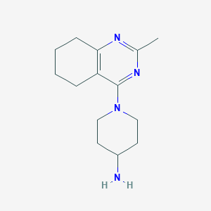 molecular formula C14H22N4 B1653036 1-(2-Methyl-5,6,7,8-tetrahydroquinazolin-4-yl)piperidin-4-amine CAS No. 1707566-43-5
