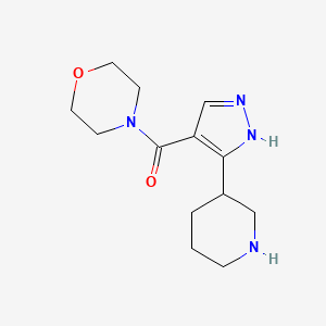 molecular formula C13H20N4O2 B1653296 morpholin-4-yl-(5-piperidin-3-yl-1H-pyrazol-4-yl)methanone CAS No. 1803581-15-8