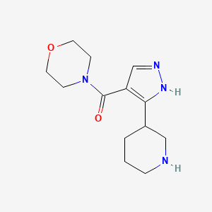 4-[3-(Piperidin-3-yl)-1H-pyrazole-4-carbonyl]morpholine