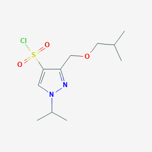 molecular formula C11H19ClN2O3S B1653545 3-(isobutoxymethyl)-1-isopropyl-1H-pyrazole-4-sulfonyl chloride CAS No. 1856051-48-3