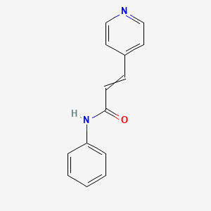 N-Phenyl-3-(pyridin-4-yl)prop-2-enamide