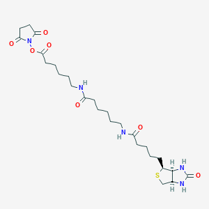 molecular formula C₂₆H₄₁N₅O₇S B016542 生物素-XX-NHS CAS No. 89889-52-1