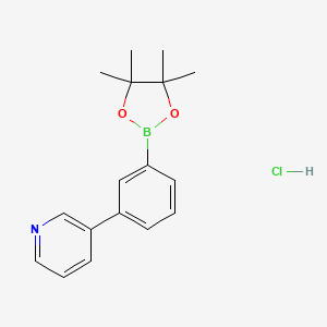 molecular formula C17H21BClNO2 B1654432 (3-(Pyridin-3-YL)phenyl)boronic acid pinacol ester hcl CAS No. 2304635-18-3