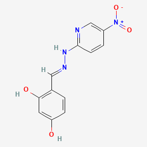 molecular formula C12H10N4O4 B1654846 beta-Resorcylaldehyde, (5-nitro-2-pyridyl)hydrazone CAS No. 28058-38-0