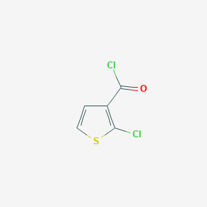 molecular formula C5H2Cl2OS B1655215 2-Chlorothiophene-3-carbonyl chloride CAS No. 332370-74-8