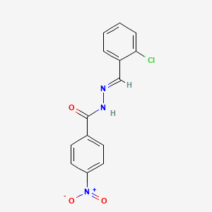 molecular formula C14H10ClN3O3 B1655393 N'-(2-chlorobenzylidene)-4-nitrobenzohydrazide CAS No. 35559-06-9