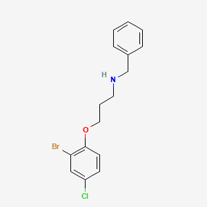 N-benzyl-3-(2-bromo-4-chlorophenoxy)propan-1-amine
