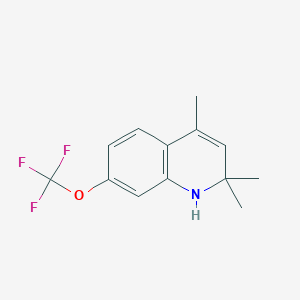 molecular formula C13H14F3NO B1656113 2,2,4-Trimethyl-7-(trifluoromethoxy)-1H-quinoline CAS No. 505087-53-6