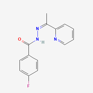 B1656557 4-Fluoro-N'-[(1Z)-1-(pyridin-2-yl)ethylidene]benzohydrazide CAS No. 5325-69-9