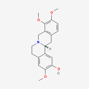 molecular formula C20H23NO4 B1656600 (+)-Isocorypalmine CAS No. 53447-14-6