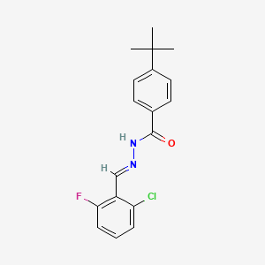 molecular formula C18H18ClFN2O B1656867 4-tert-butyl-N-[(E)-(2-chloro-6-fluorophenyl)methylideneamino]benzamide CAS No. 5470-89-3