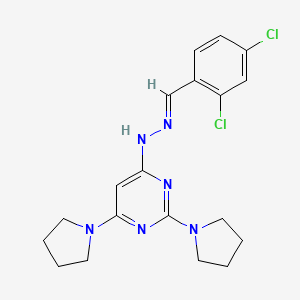 4-[(2E)-2-(2,4-dichlorobenzylidene)hydrazinyl]-2,6-di(pyrrolidin-1-yl)pyrimidine