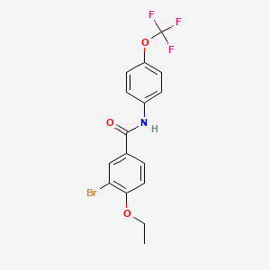 3-bromo-4-ethoxy-N-[4-(trifluoromethoxy)phenyl]benzamide