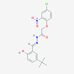 molecular formula C19H20ClN3O5 B1658771 N-[(E)-(5-Tert-butyl-2-hydroxyphenyl)methylideneamino]-2-(4-chloro-2-nitrophenoxy)acetamide CAS No. 6210-04-4