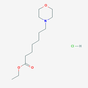molecular formula C13H26ClNO3 B1658894 Ethyl 7-(morpholin-4-yl)heptanoate--hydrogen chloride (1/1) CAS No. 62522-36-5
