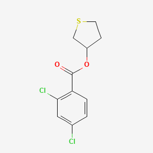 molecular formula C11H10Cl2O2S B1659380 Thiolan-3-yl 2,4-dichlorobenzoate CAS No. 647825-61-4
