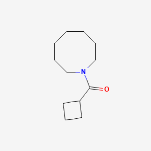 (Azocan-1-yl)(cyclobutyl)methanone
