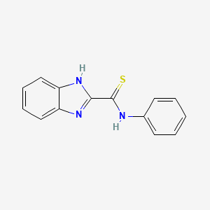 molecular formula C14H11N3S B1661403 1H-Benzimidazole-2-carbothioamide, N-phenyl- CAS No. 90430-71-0