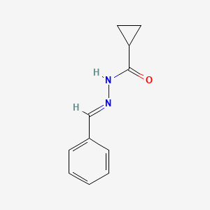 molecular formula C11H12N2O B1661465 N'-[(E)-phenylmethylidene]cyclopropanecarbohydrazide CAS No. 91350-09-3