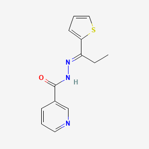 molecular formula C13H13N3OS B1661501 N-[(E)-1-thiophen-2-ylpropylideneamino]pyridine-3-carboxamide CAS No. 91768-32-0