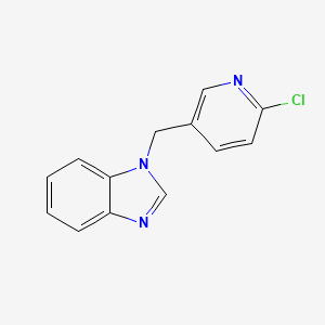 molecular formula C13H10ClN3 B1661532 1-[(6-Chloropyridin-3-yl)methyl]-1H-benzimidazole CAS No. 919114-61-7