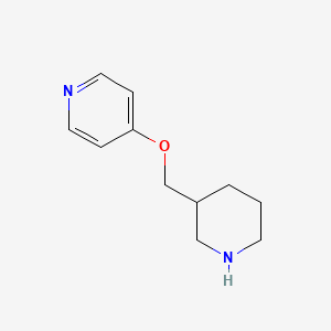 molecular formula C11H16N2O B1661663 4-(Piperidin-3-ylmethoxy)pyridine CAS No. 933736-81-3