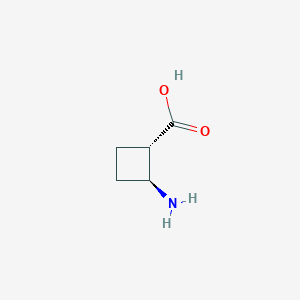 molecular formula C5H9NO2 B1661783 (1S,2S)-2-Aminocyclobutane-1-carboxylic acid CAS No. 951173-27-6