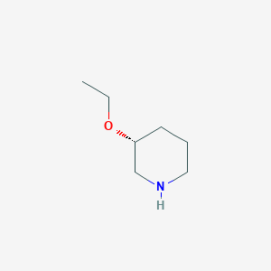 molecular formula C7H15NO B1661807 (3R)-3-乙氧基哌啶 CAS No. 956429-50-8