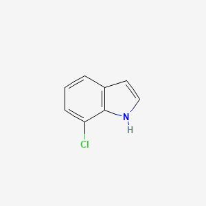 molecular formula C8H6ClN B1661978 7-氯-1H-吲哚 CAS No. 53924-05-3