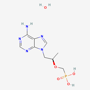 molecular formula C9H16N5O5P B1662510 替诺福韦 CAS No. 206184-49-8